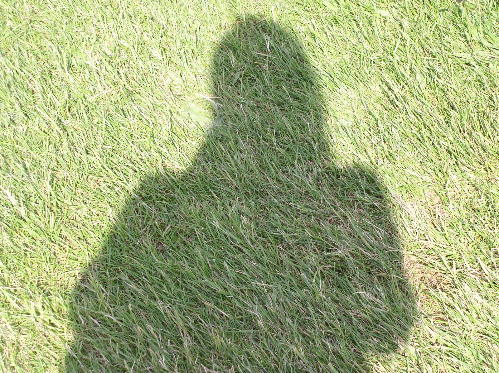 http://widowsvoice.com/wp-content/uploads/2009/05/me_and_my_shadow.jpg