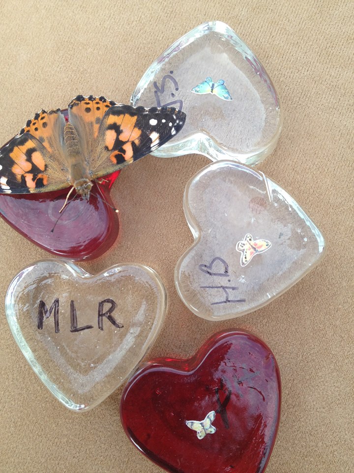http://widowsvoice.com/wp-content/uploads/2013/09/san_diego_butterfly_hearts.jpg