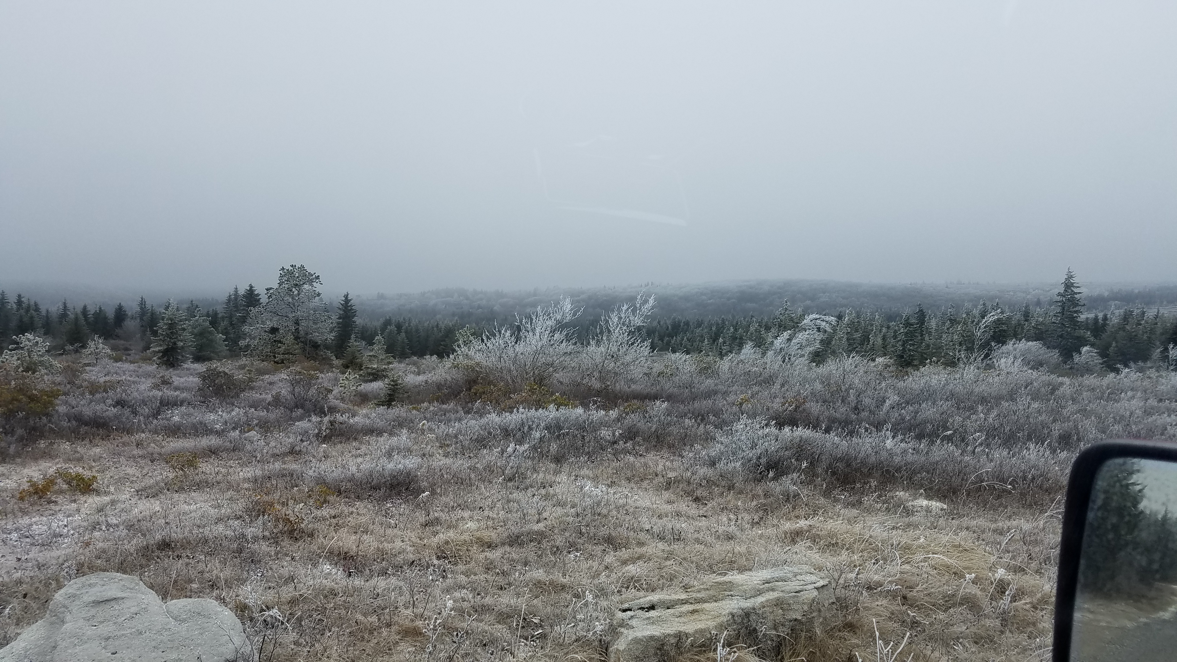 Dolly Sods, where I had hoped to be.