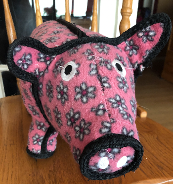 a dog toy named pig