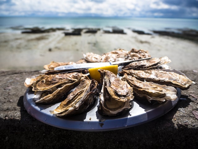 Learning to Shuck Oysters at 55