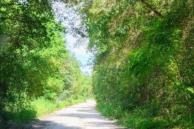 Navigating Unpaved Roads