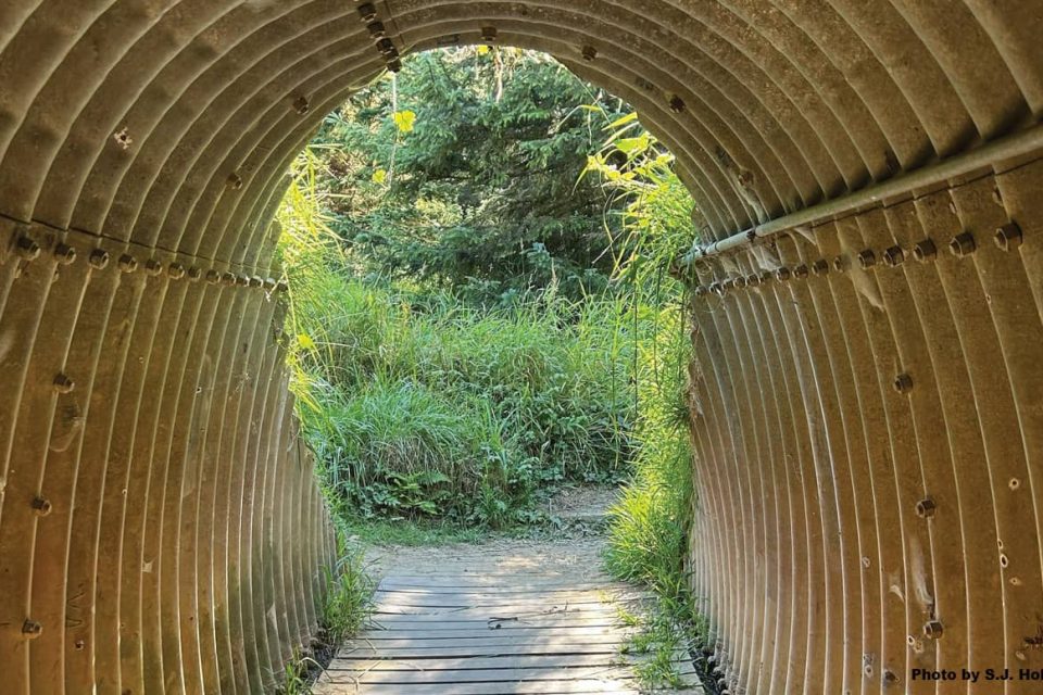 a photo of a corrugated, silver, metal tunnel on a trail with green foliage seen on the other side