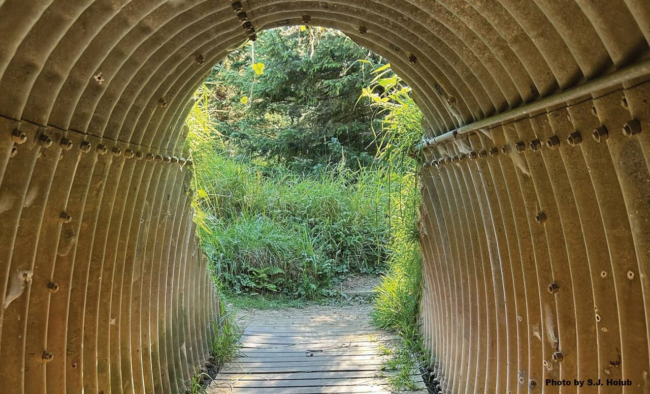 a photo of a corrugated, silver, metal tunnel on a trail with green foliage seen on the other side