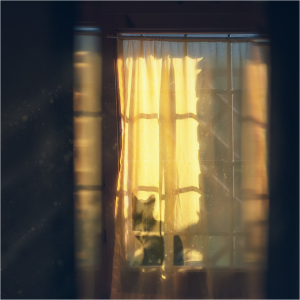 Looking inside through sheer curtains.
