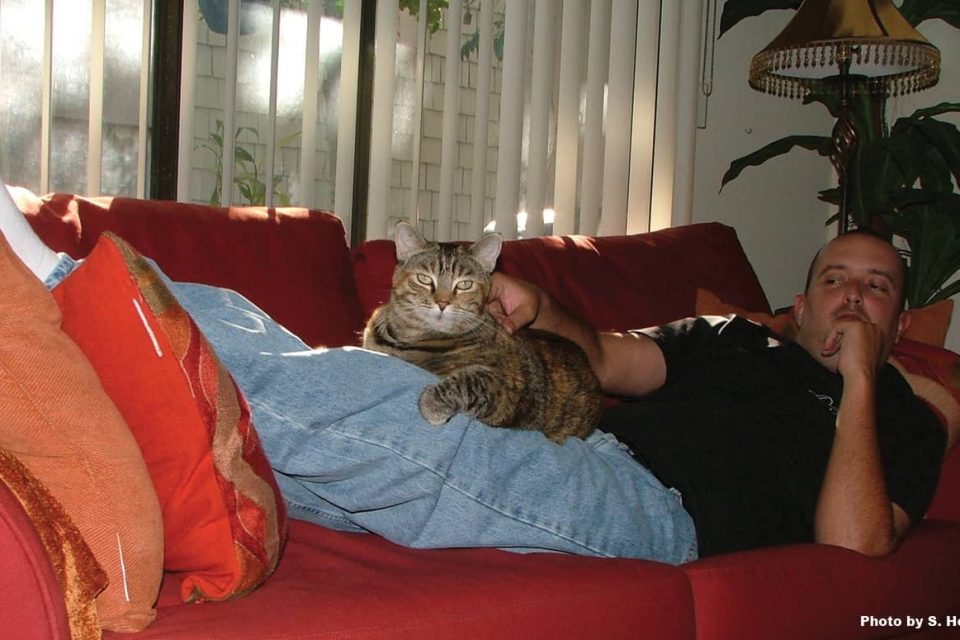 A man lying on a red couch petting a torbie colored tabby cat who's laying on his lap