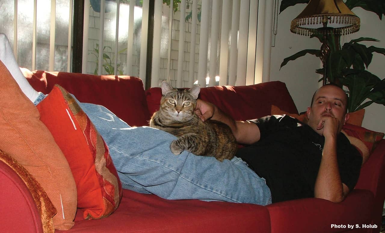 A man lying on a red couch petting a torbie colored tabby cat who's laying on his lap