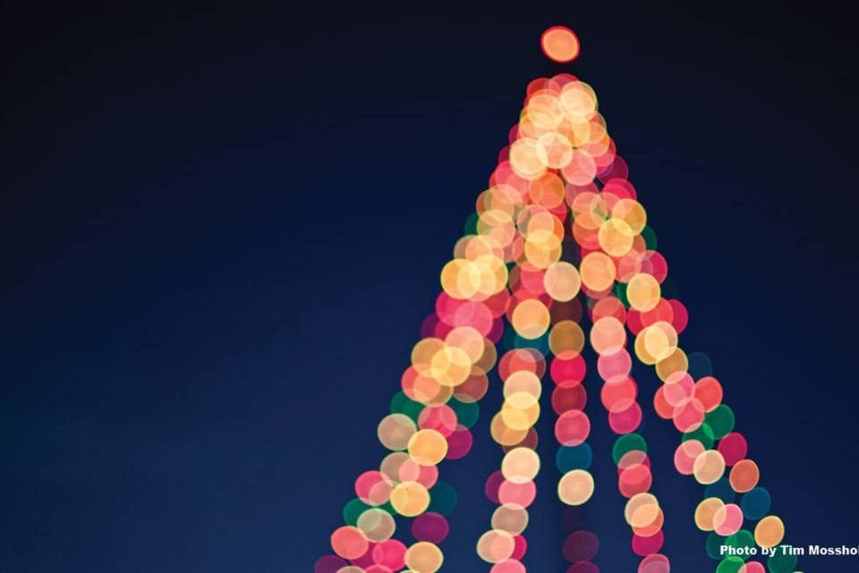 A soft focus image taken at night of multicolored holiday lights in the shape of a pine tree