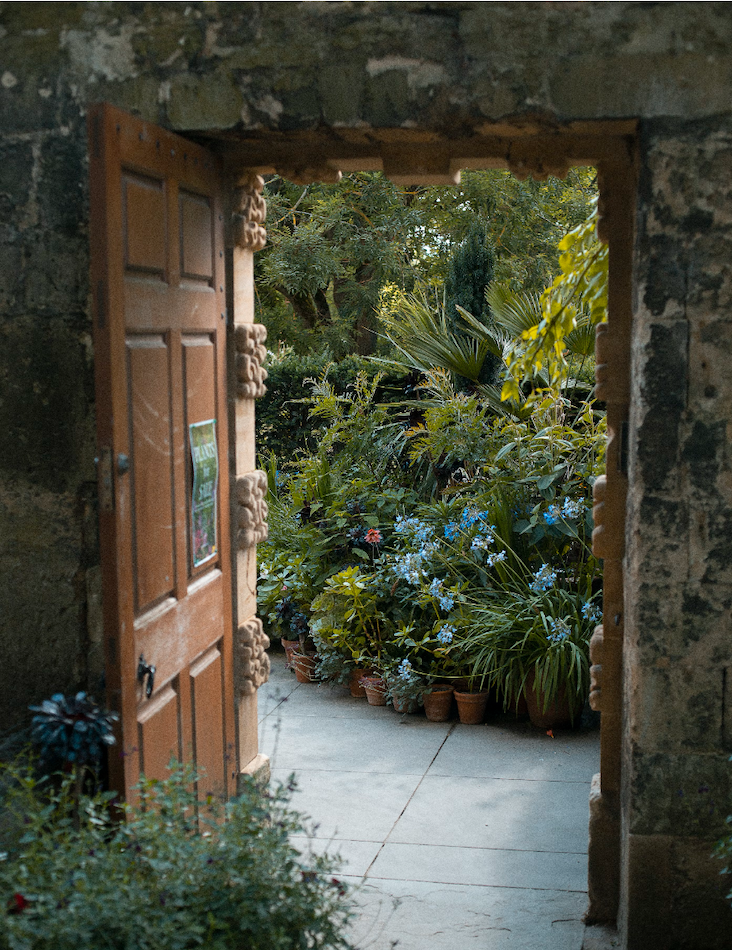 An open door that leads to a hidden garden.