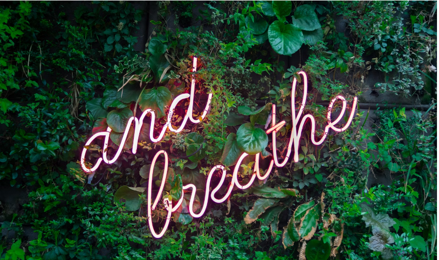 A sign that says, "And Breathe." The background is green leaves.