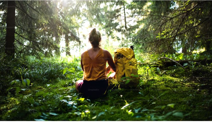 Woman facing horizon from forest view.