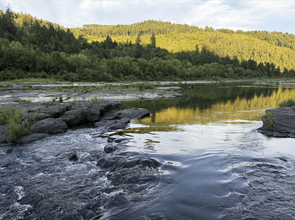 a peaceful river with mountains and pine trees in the background