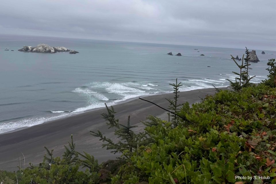 A view of the ocean from a lookout point