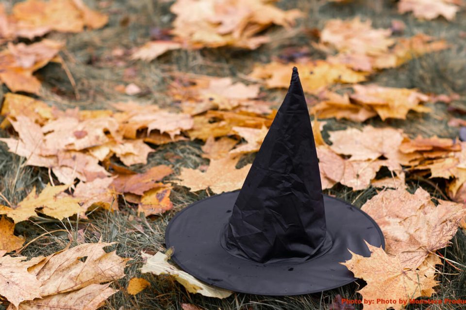 a black witch hat and fall leaves on the ground