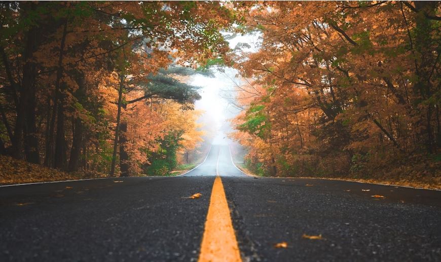 A highway through the Season of Fall.
