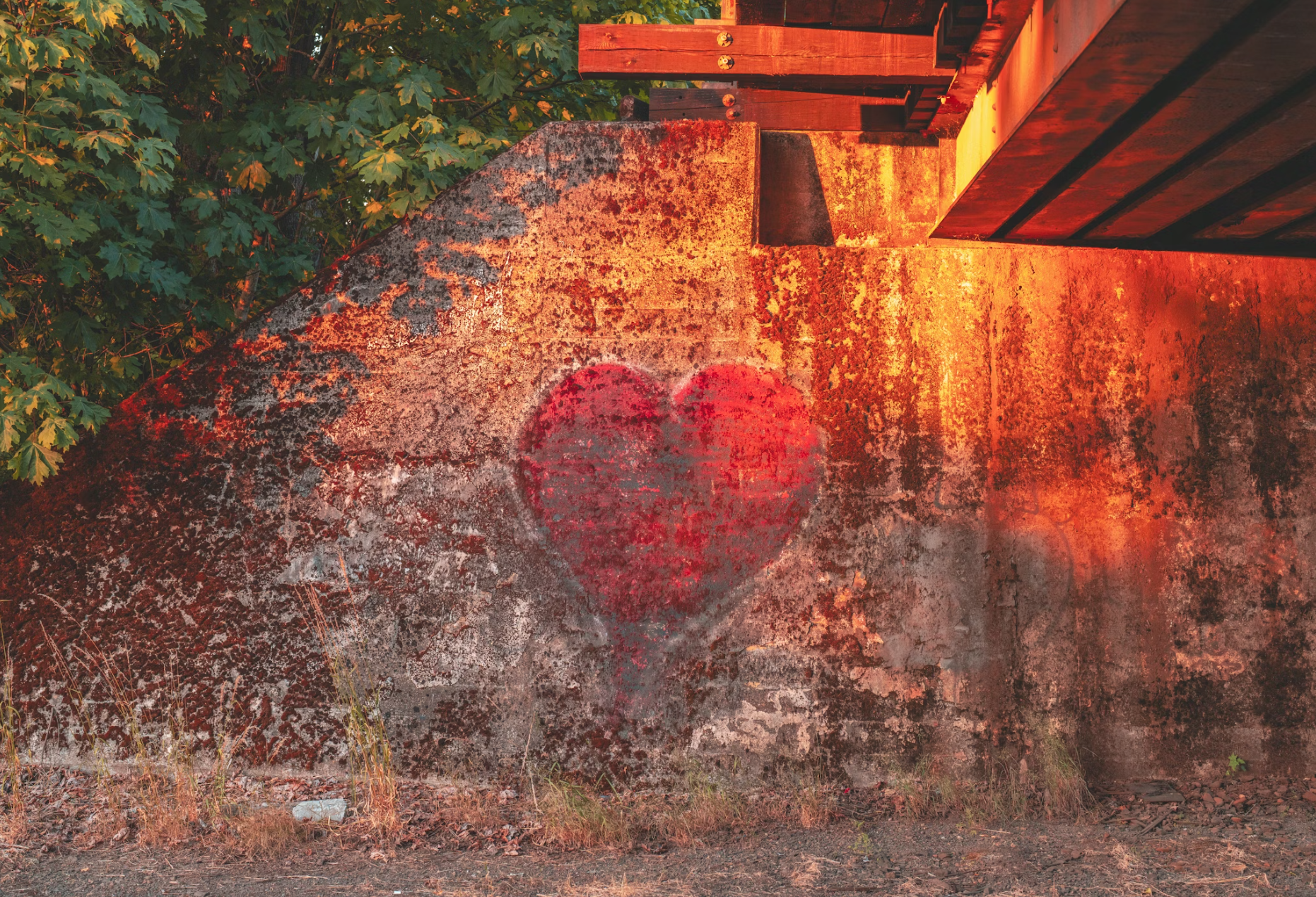 Heart in the midst of life.