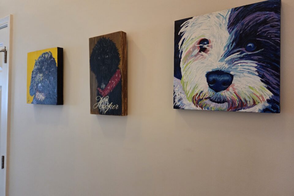 Welcome To My Museum of Stuff