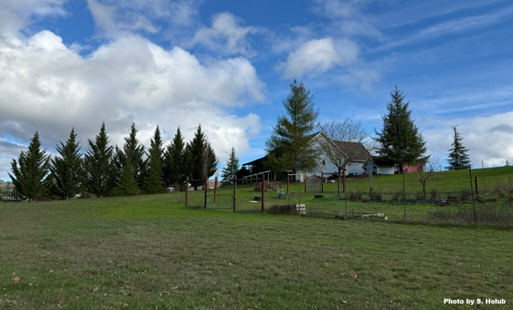 A view of a sloping meadow with a gated garden space, a blue house and pine trees