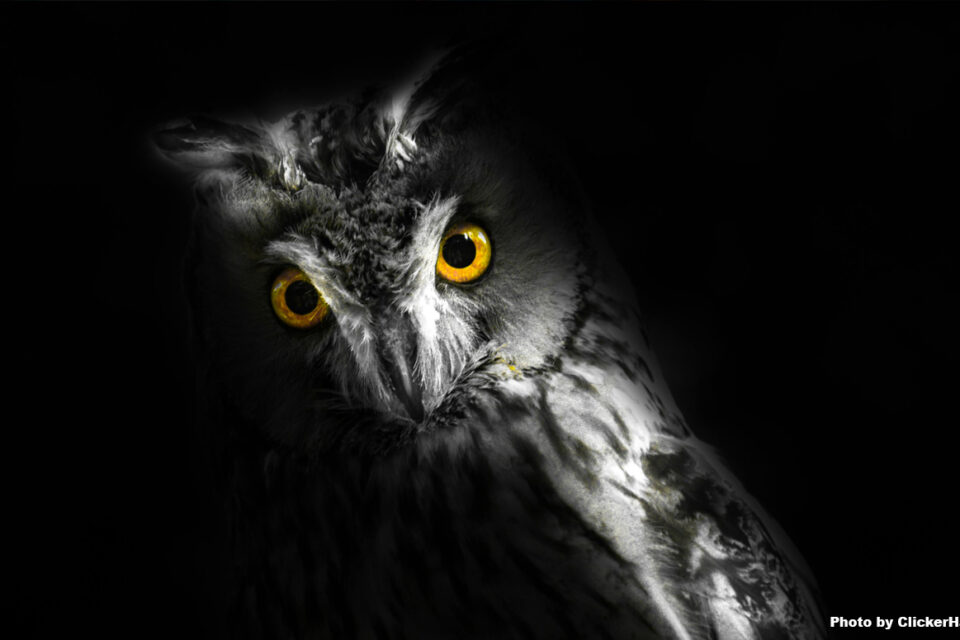 “I shouldn’t do it but I do it anyway.”