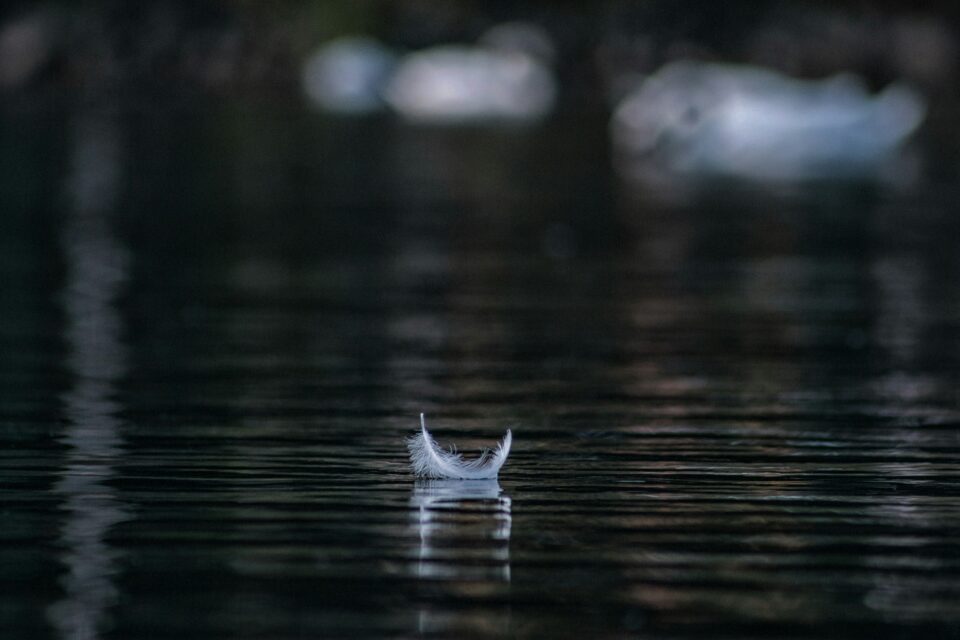 Photo by Andraz Lazic on Unsplash