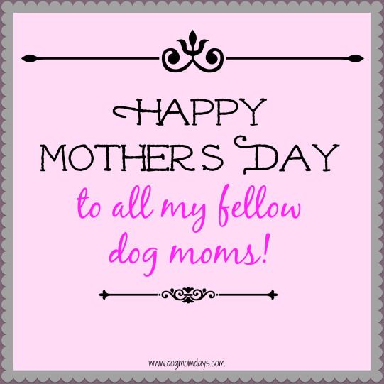 Paw-sing to Thank the Dog Moms