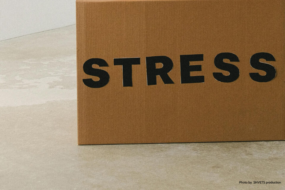 a box of stress