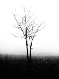 Photo by Avinash Kumar on Unsplash