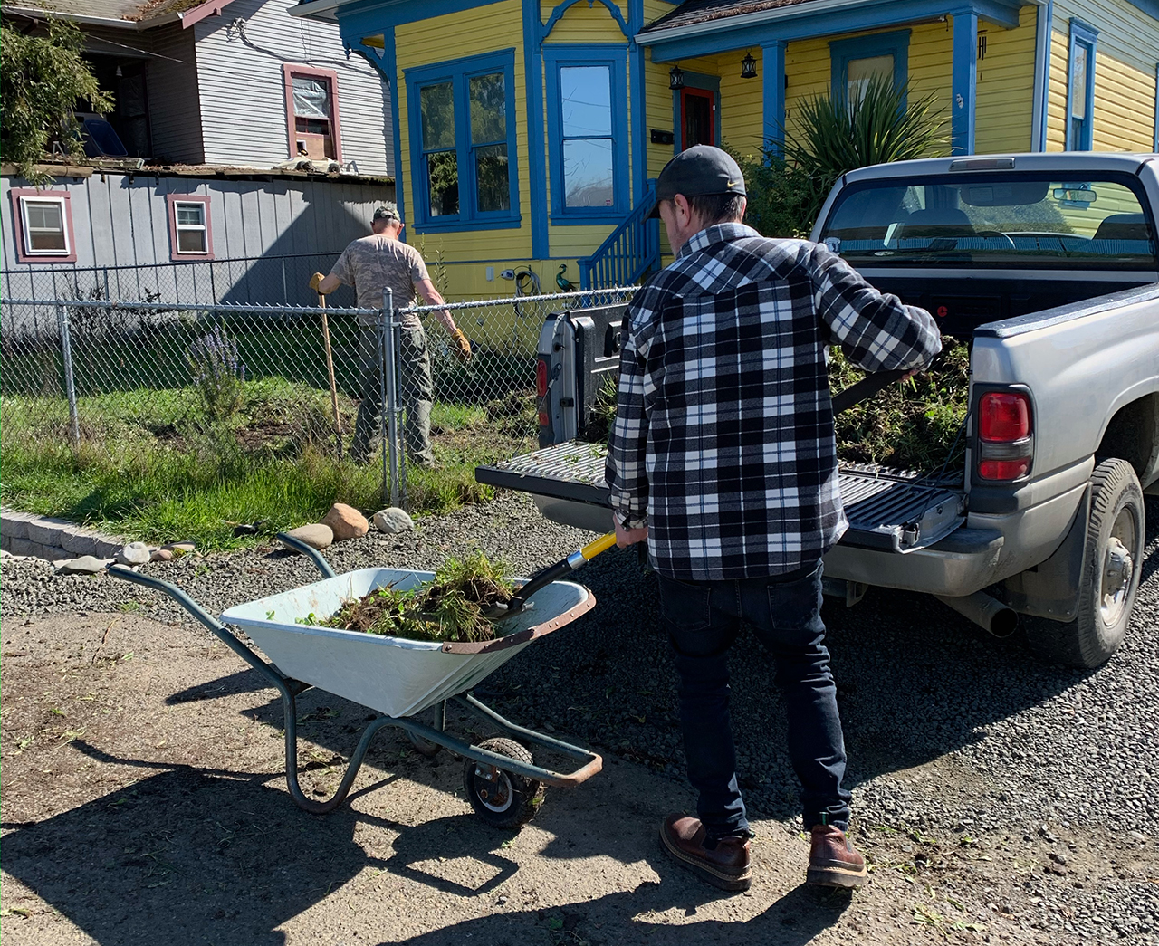 Man shovels weeds into back of pick up truck