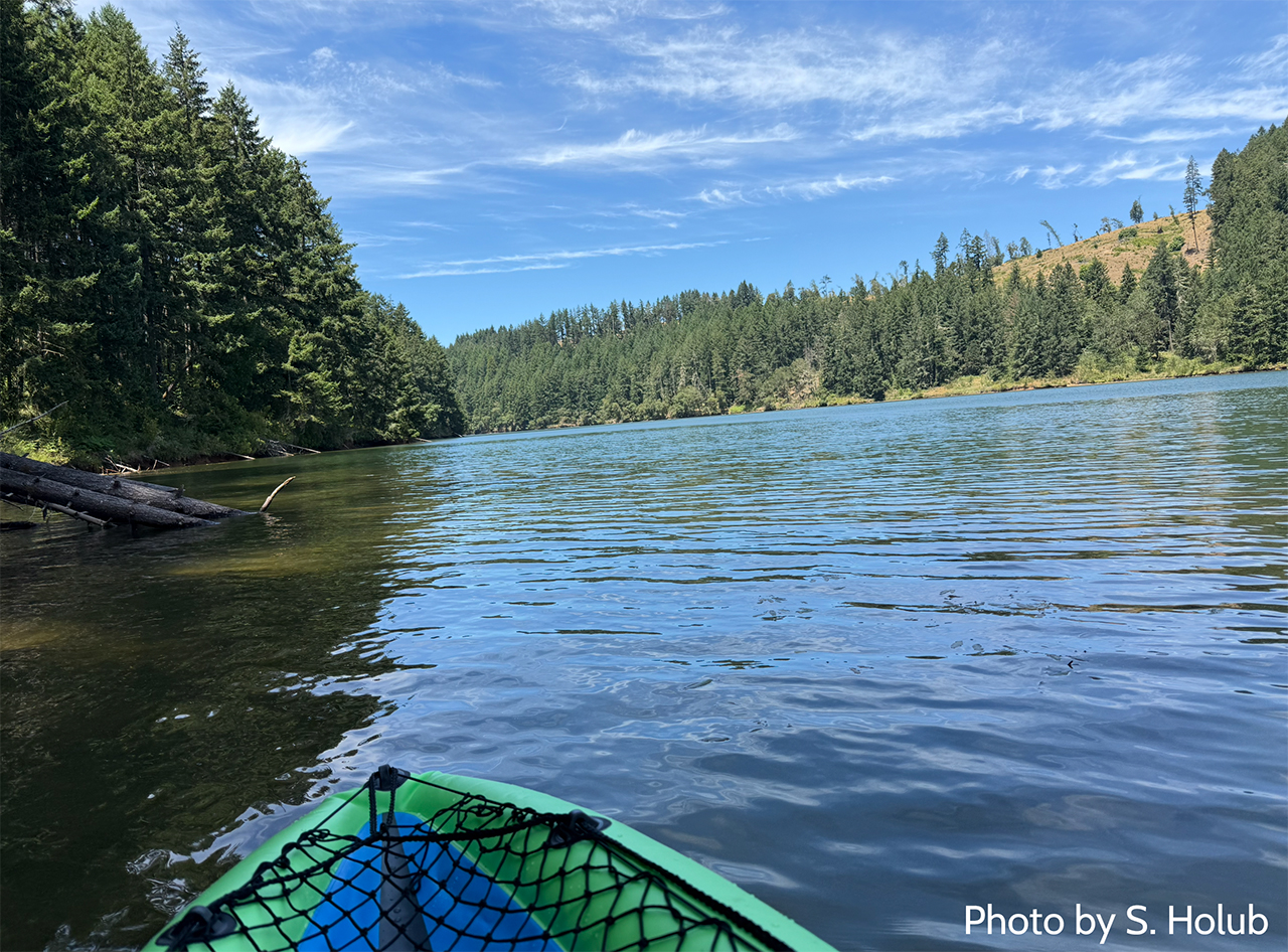A view from a Kayak on a lake in summer