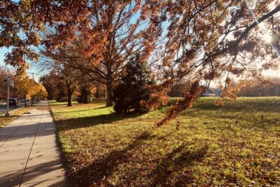 Falling 🍂