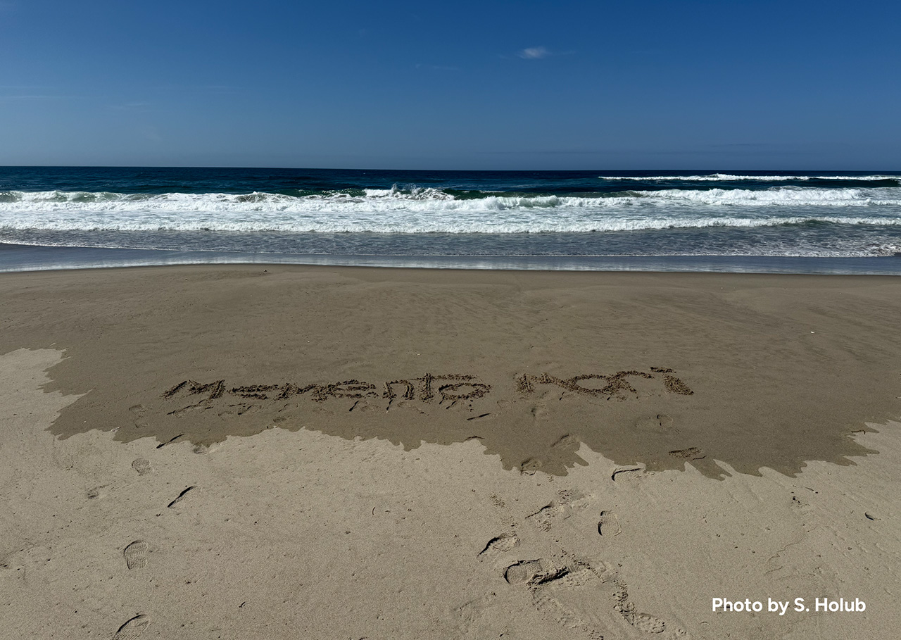 beach with the words memento mori written in the sand