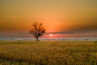 September Morn …