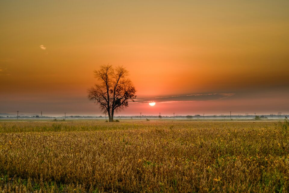 September Morn …
