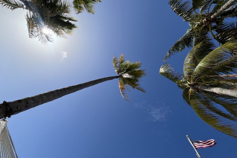 Things are Looking Up ⬆️